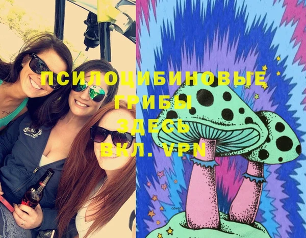 шишки Саяногорск