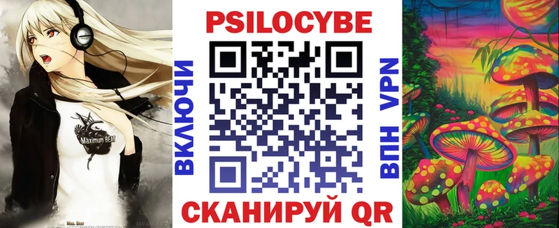 Галлюциногенные грибы Psilocybe Себеж